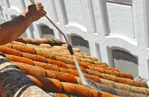 Nettoyage de toitures - Plésidy